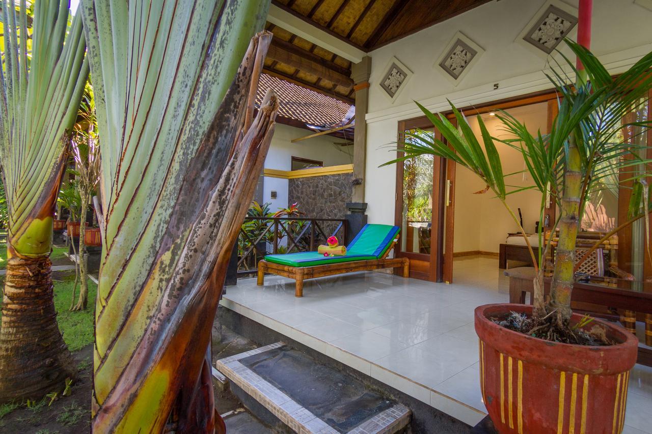 Oasis 3* Amed